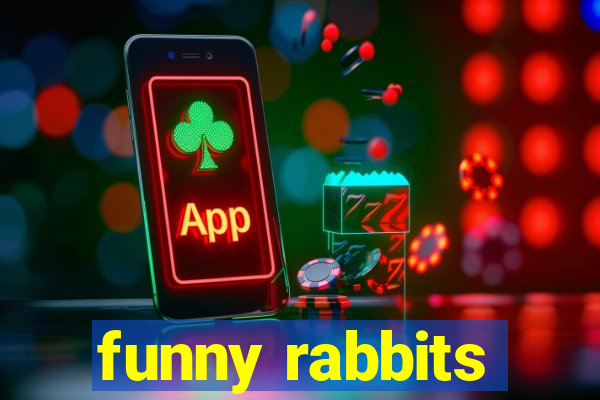 funny rabbits