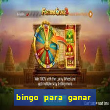 bingo para ganar dinero en paypal