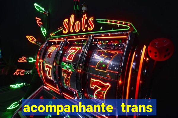 acompanhante trans em santos