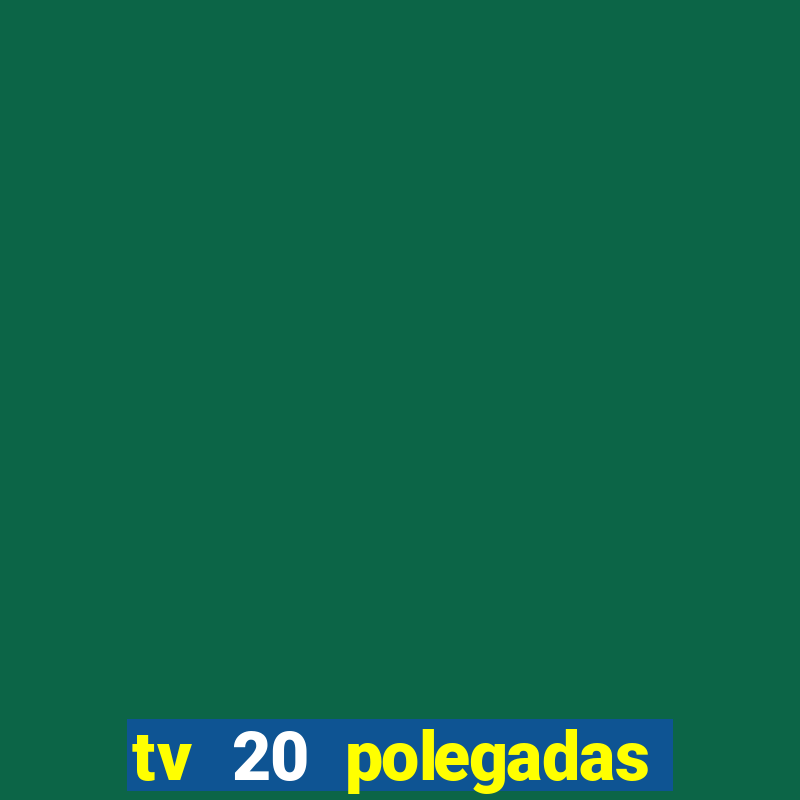 tv 20 polegadas casas bahia