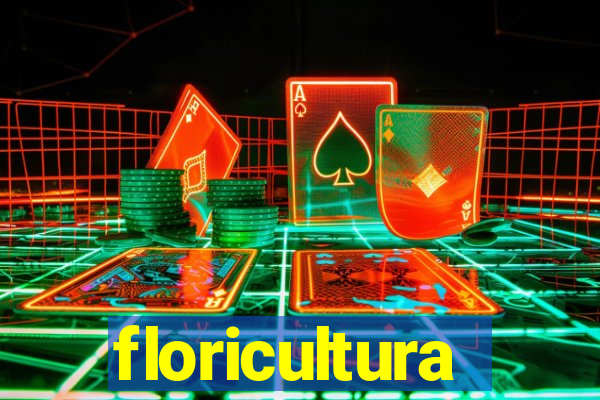 floricultura cruzeiro novo