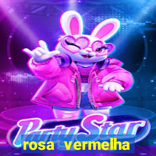 rosa vermelha (letra e cifra)