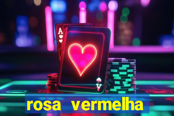 rosa vermelha (letra e cifra)