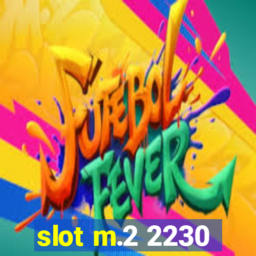 slot m.2 2230