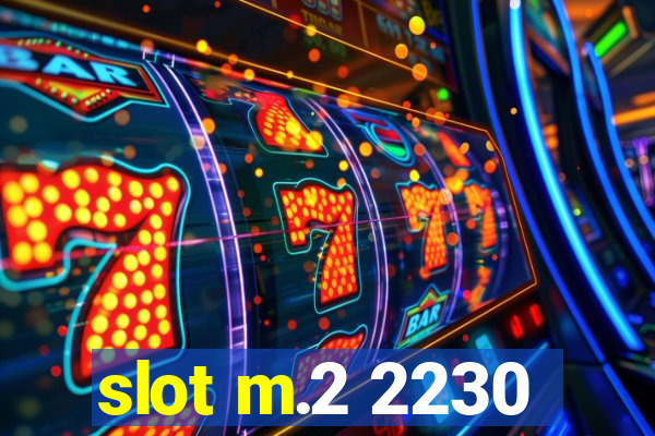 slot m.2 2230