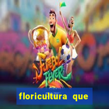 floricultura que faz entrega