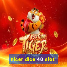 nicer dice 40 slot