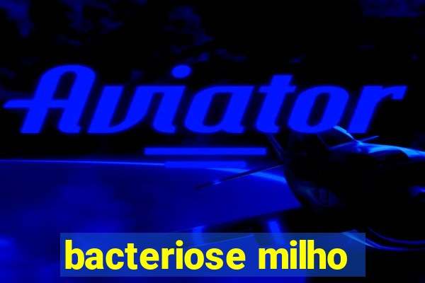 bacteriose milho