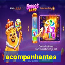 acompanhantes chamada de video