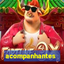 acompanhantes chamada de video