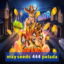 mayseeds 444 pelada