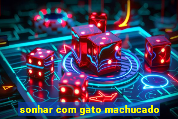 sonhar com gato machucado