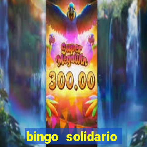 bingo solidario como organizar