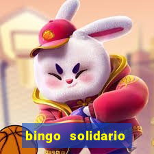 bingo solidario como organizar