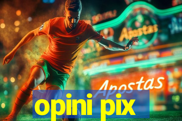 opini pix