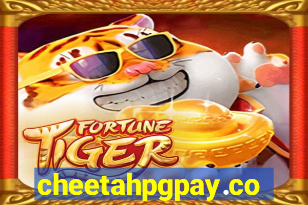 cheetahpgpay.com