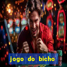 jogo do bicho fazer aposta