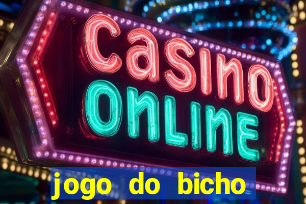 jogo do bicho fazer aposta