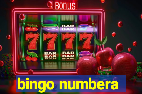 bingo numbera