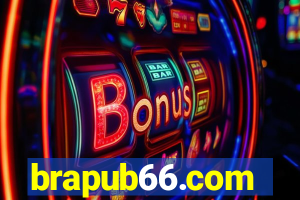 brapub66.com