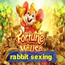 rabbit sexing