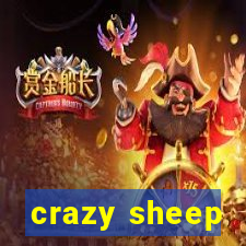 crazy sheep