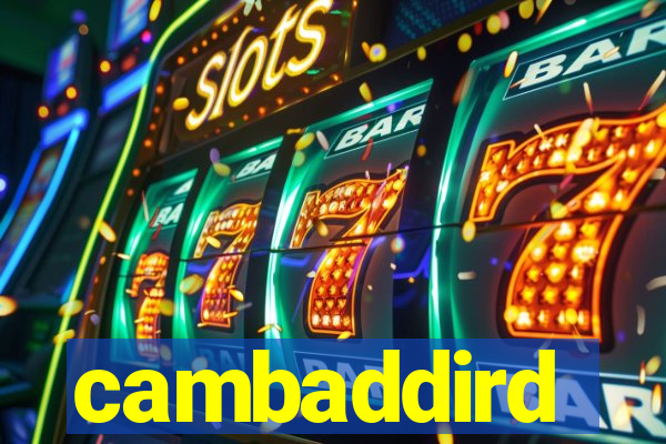 cambaddird