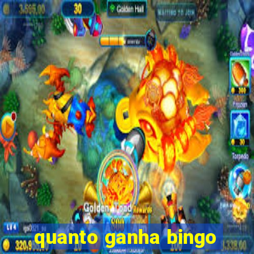 quanto ganha bingo