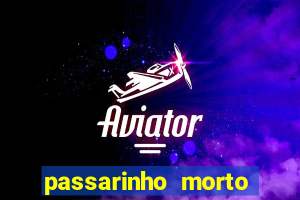 passarinho morto significado espiritual