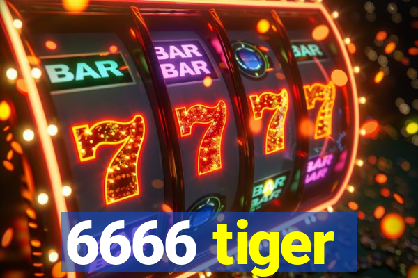 6666 tiger