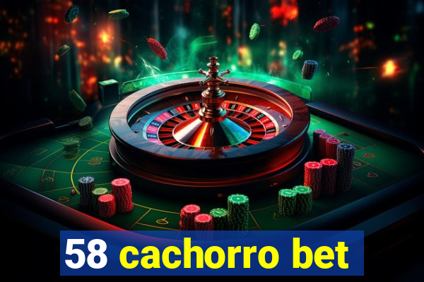 58 cachorro bet