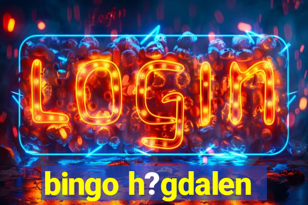 bingo h?gdalen