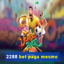 2288 bet paga mesmo