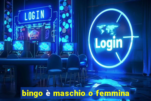 bingo è maschio o femmina