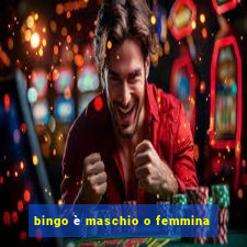 bingo è maschio o femmina