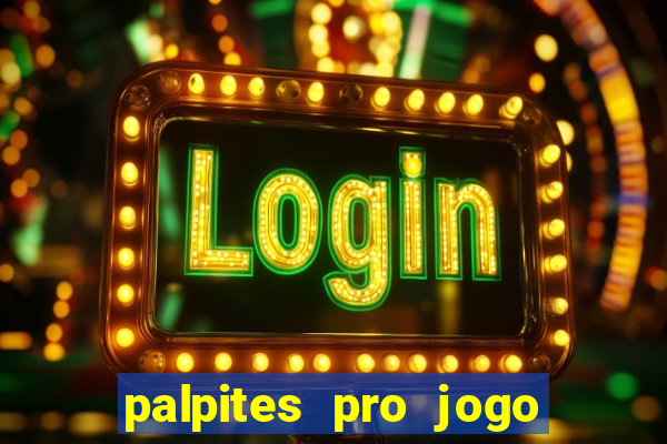 palpites pro jogo do flamengo