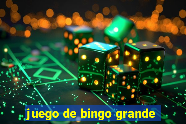 juego de bingo grande