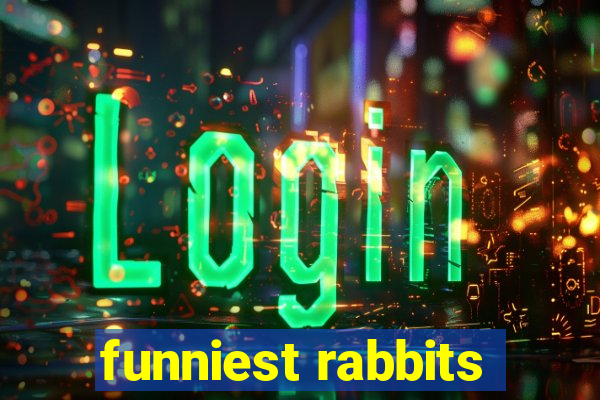 funniest rabbits