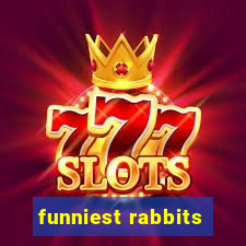 funniest rabbits