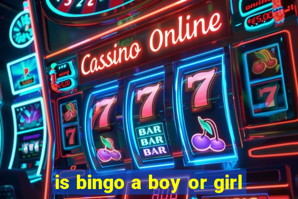 is bingo a boy or girl