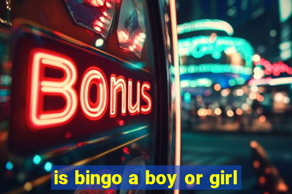 is bingo a boy or girl