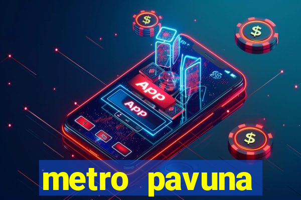 metro pavuna botafogo tempo de viagem