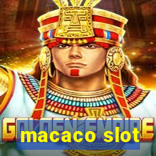 macaco slot