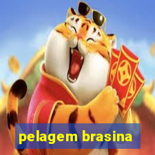 pelagem brasina