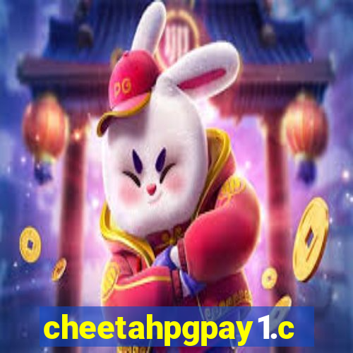 cheetahpgpay1.com