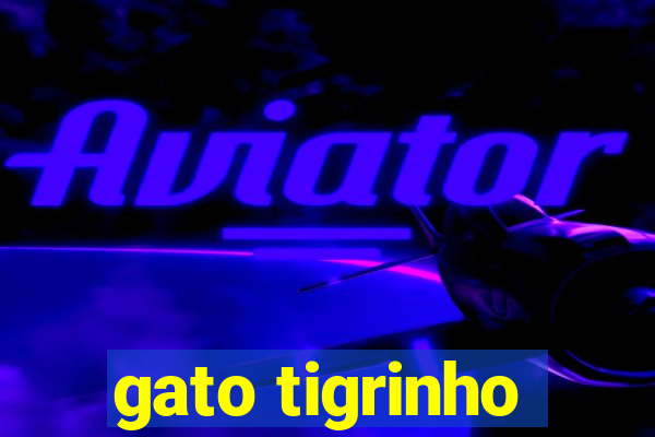 gato tigrinho