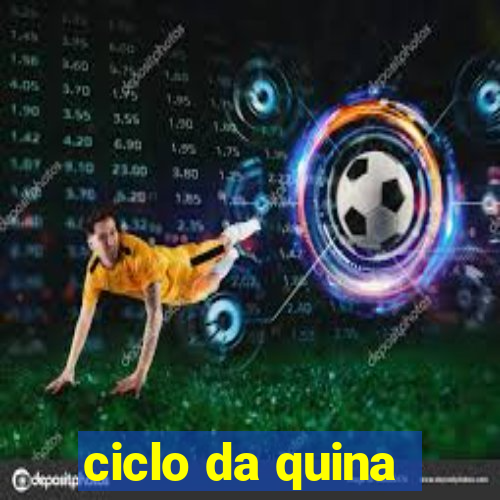 ciclo da quina