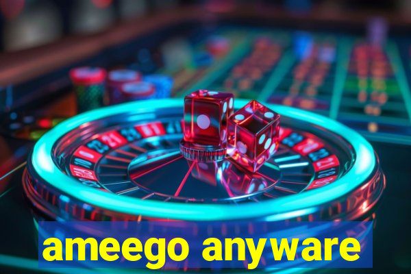 ameego anyware