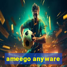 ameego anyware