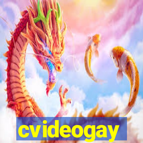 cvideogay